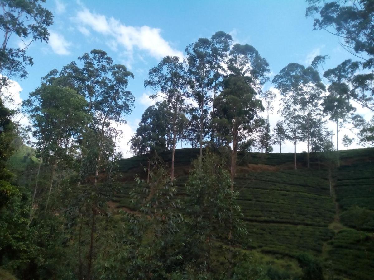 Bed and Breakfast Lily Adam'S Peak Nallathanniya Exterior foto