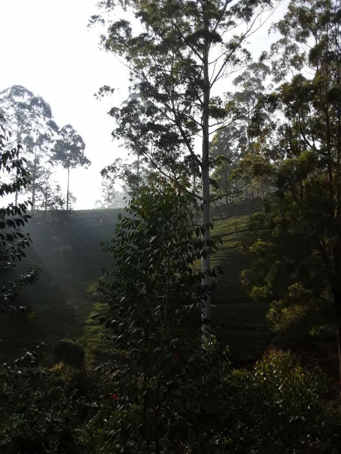 Bed and Breakfast Lily Adam'S Peak Nallathanniya Exterior foto
